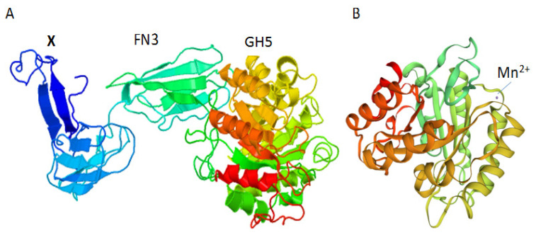 Figure 3