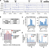 Figure 5—figure supplement 1.