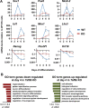 Figure 4—figure supplement 1.