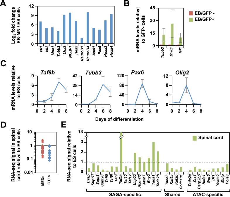 Figure 1—figure supplement 1.