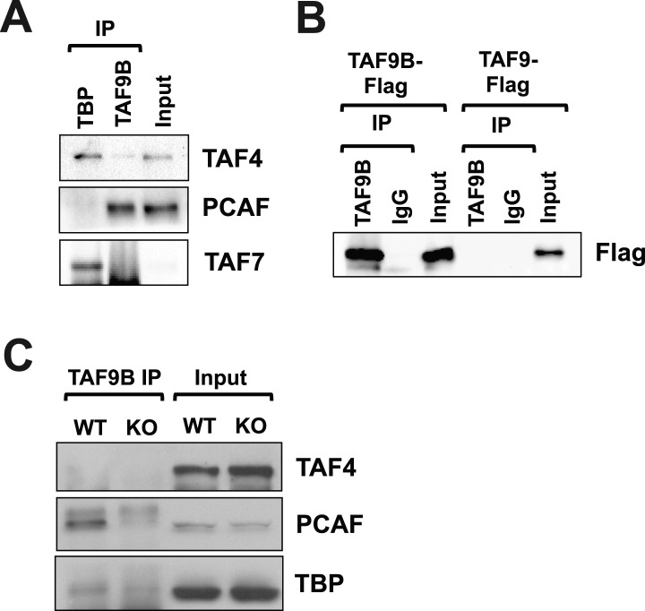 Figure 6.