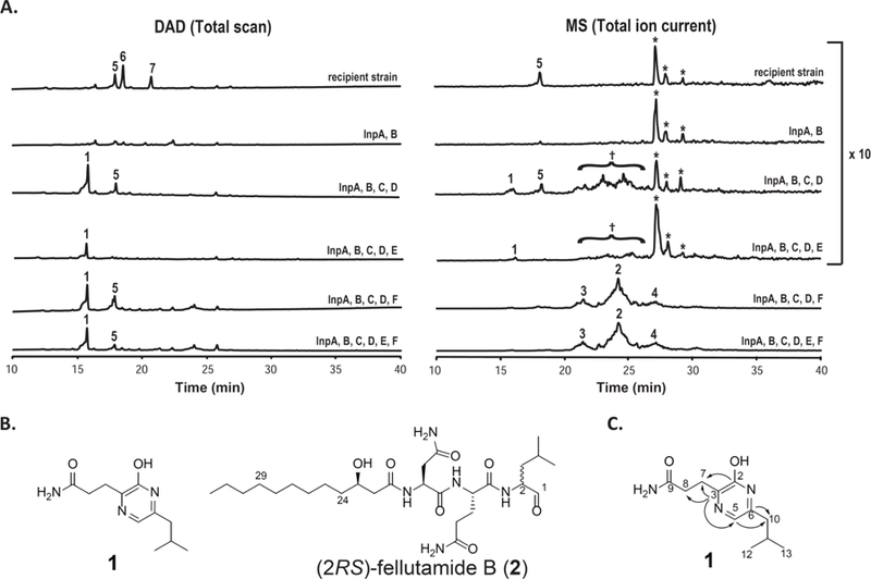 Figure 3.