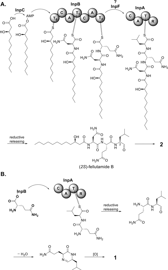 Figure 5.