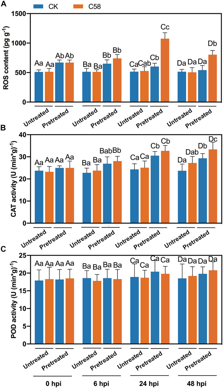 FIGURE 4