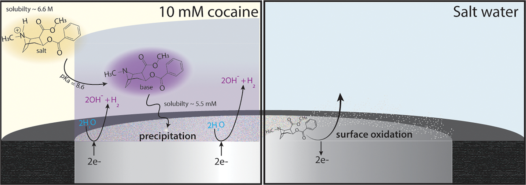 Scheme 1.