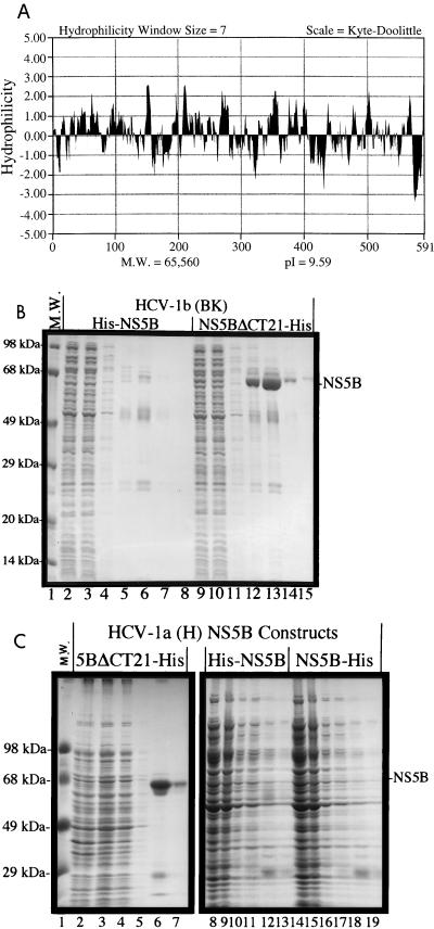 FIG. 1