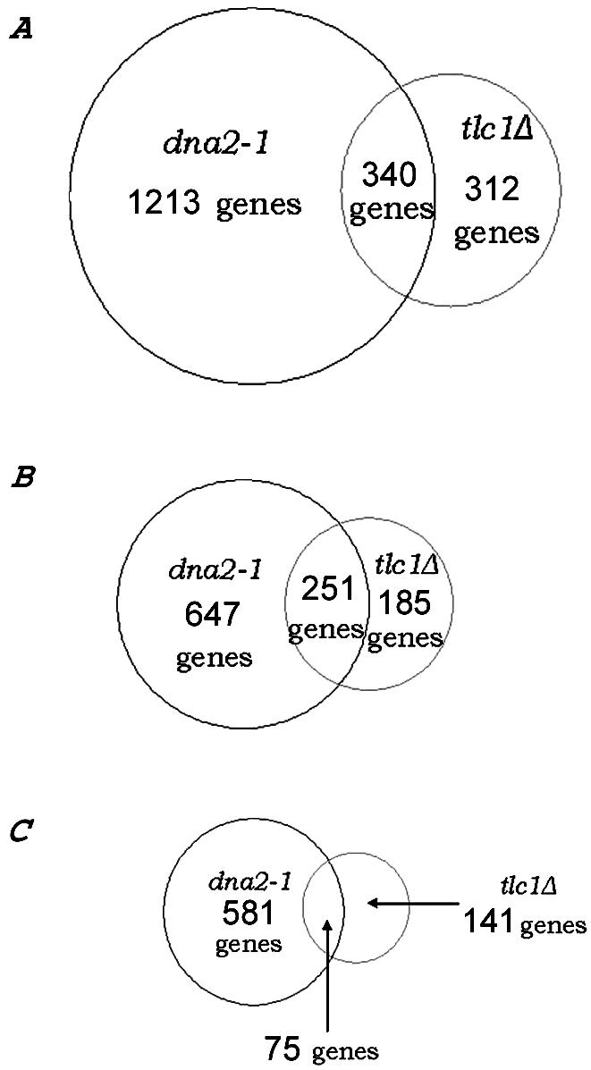 Figure 12.