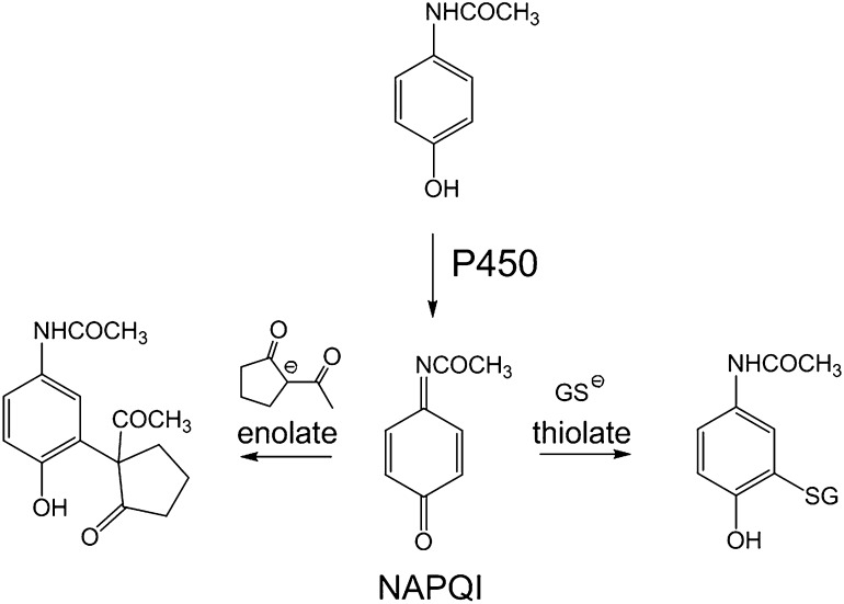 Fig. 11.