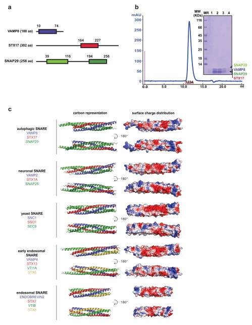 Extended Data Figure 4