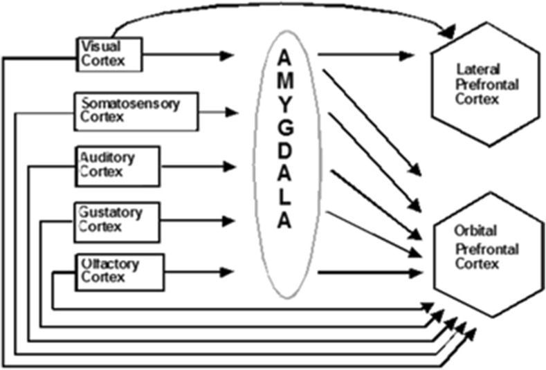 Fig. 5