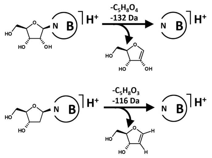 Scheme 4