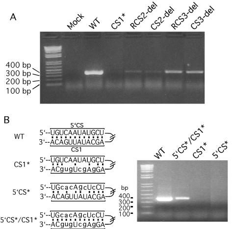 FIG. 7.