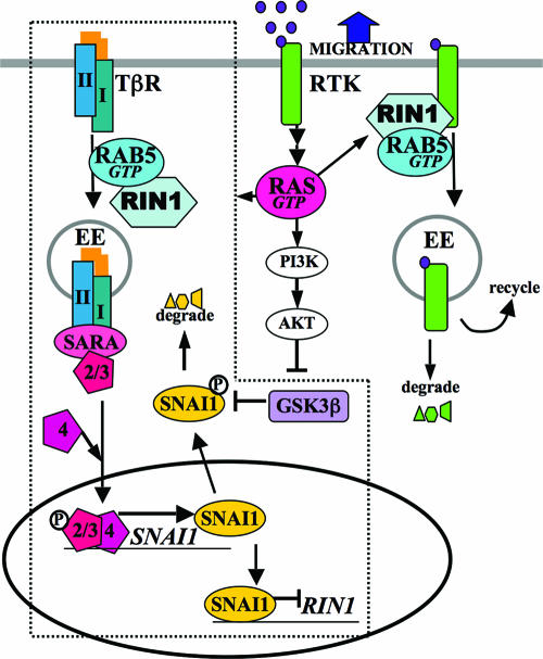 FIG. 9.