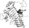 Fig. 11