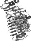 Fig. 12