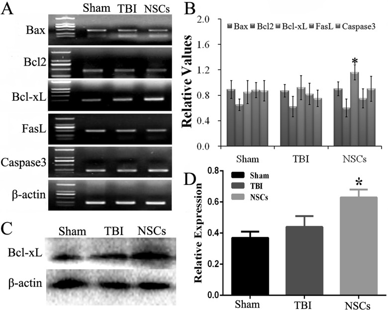 Figure 5.