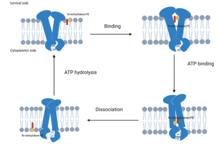 Figure 4