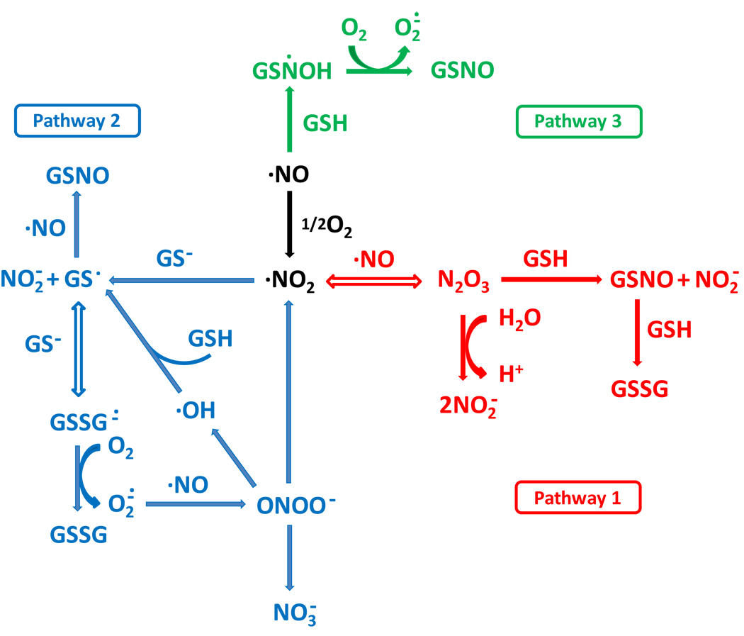 Scheme 1