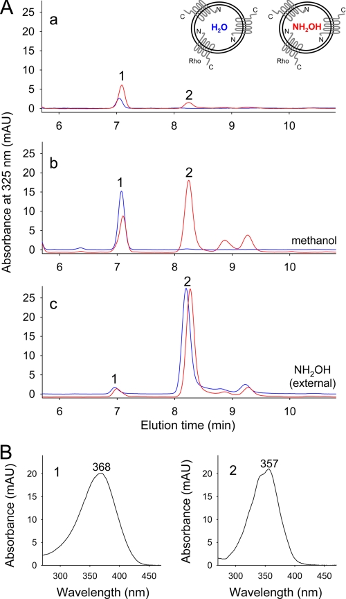 FIGURE 4.