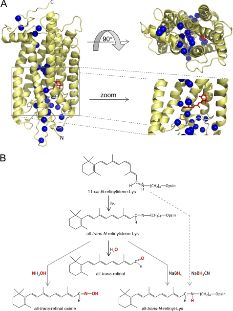 FIGURE 1.