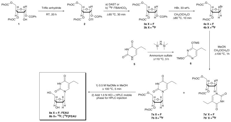 Scheme 2