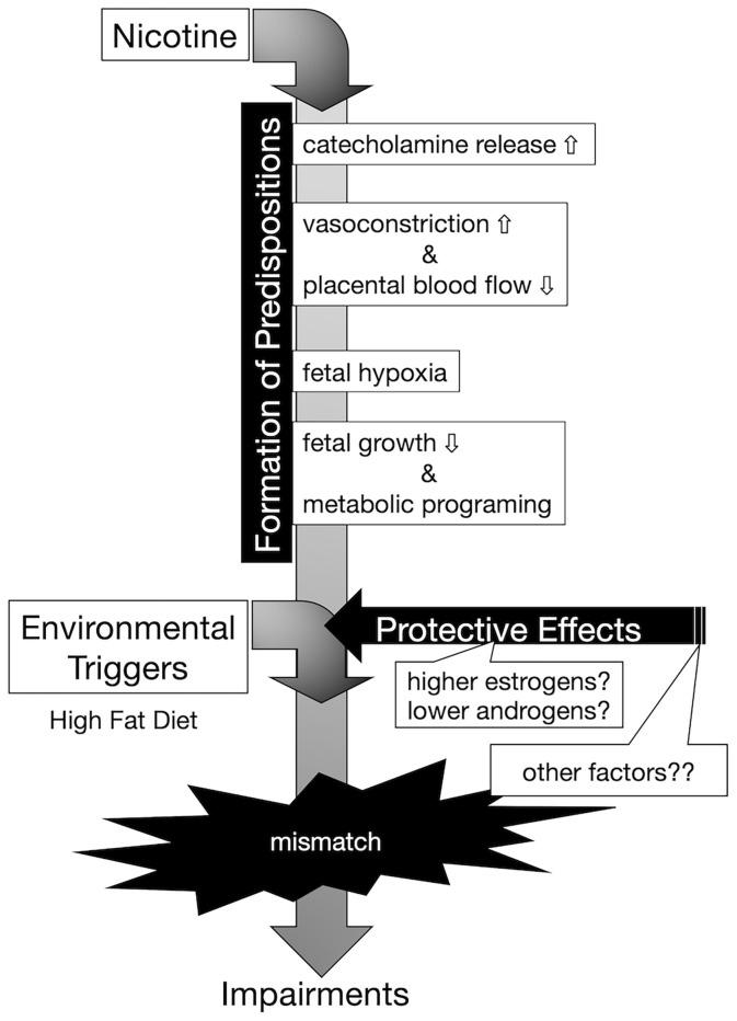 Figure 6