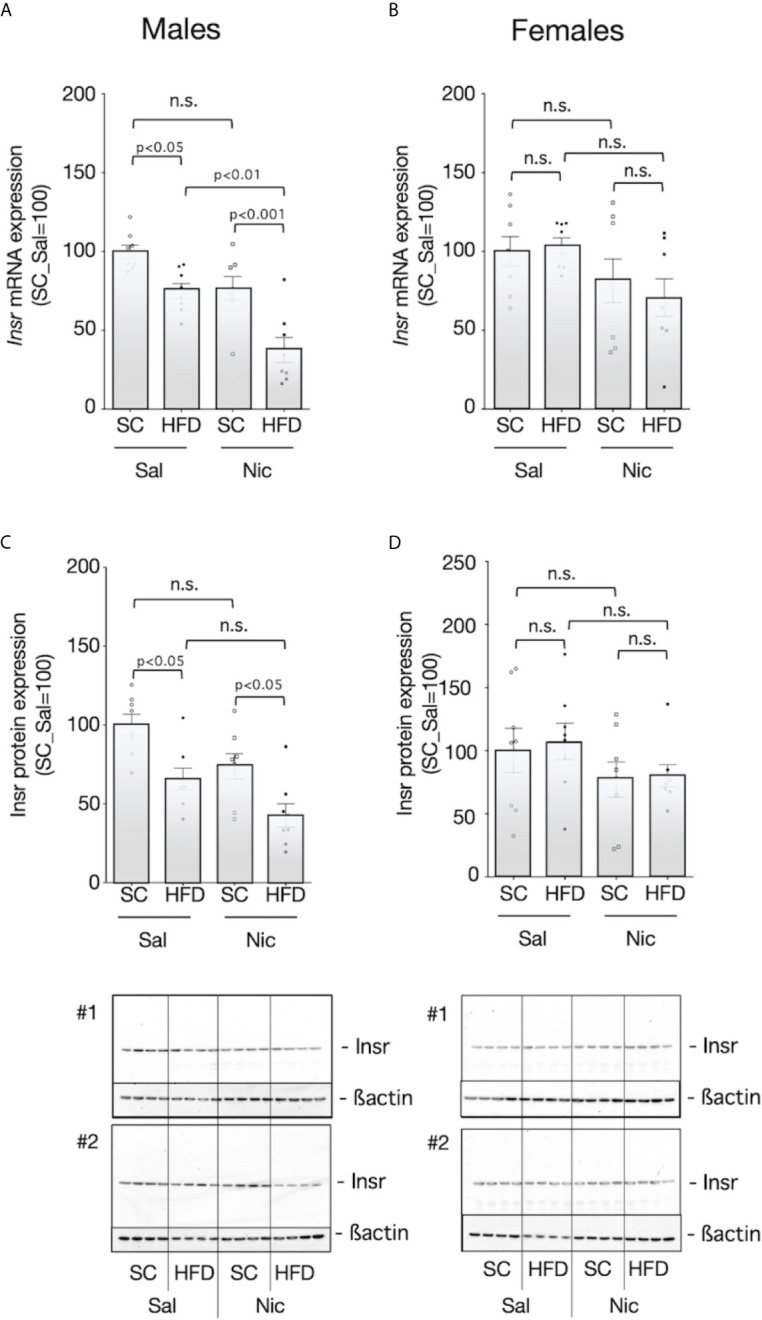 Figure 5