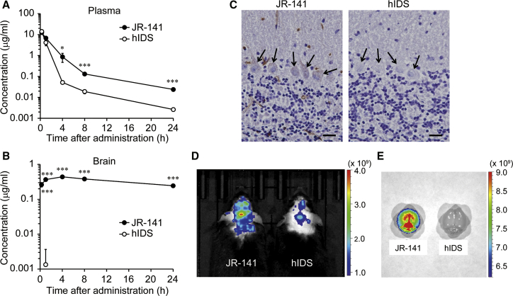 Figure 3