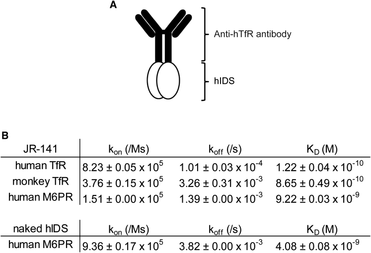 Figure 1