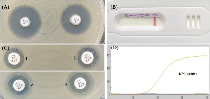 FIG 1