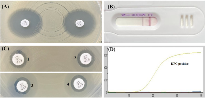 FIG 2