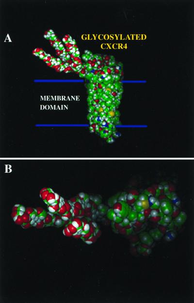 FIG. 7