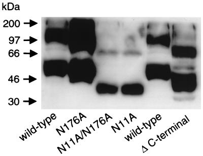 FIG. 5