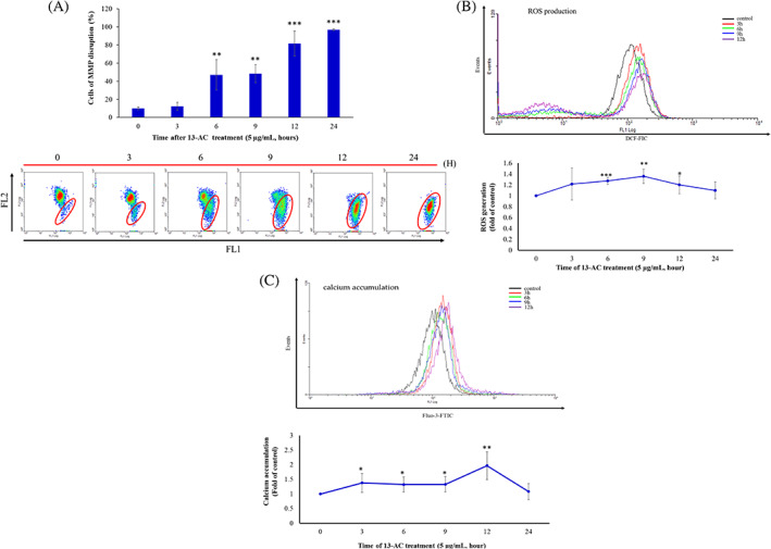 FIGURE 4