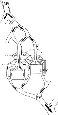 Fig. 2