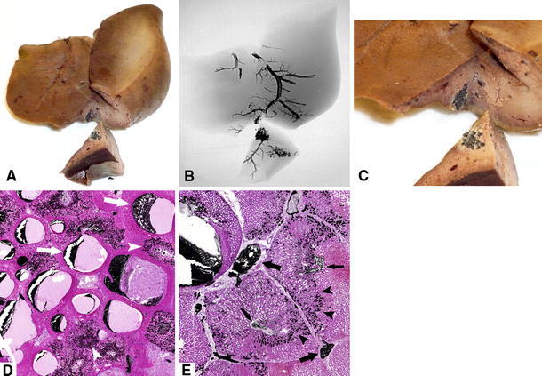 Fig. 4