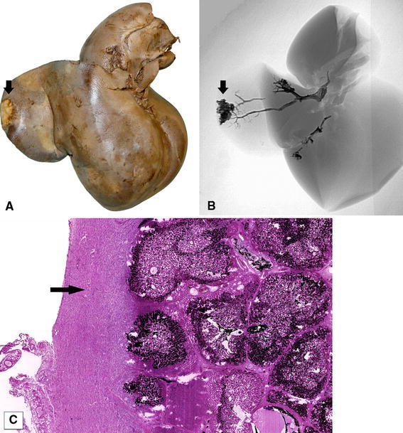 Fig. 3