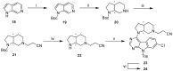 Scheme 6