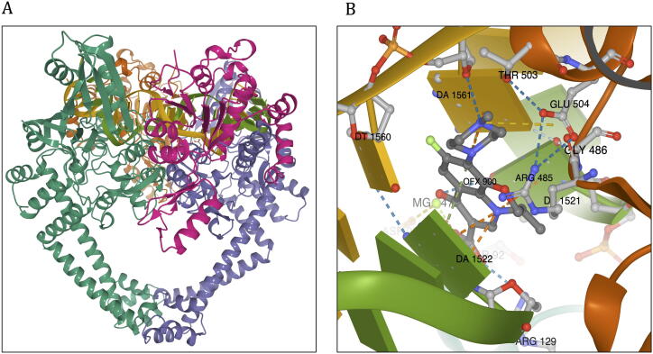 Fig. 8