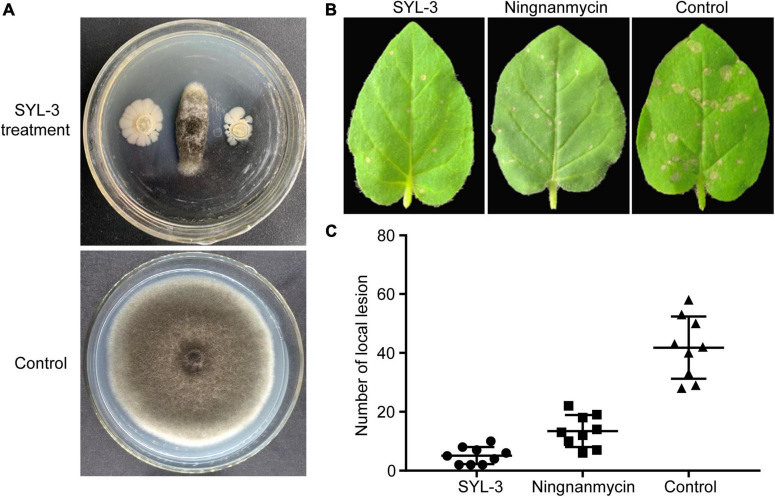 FIGURE 3