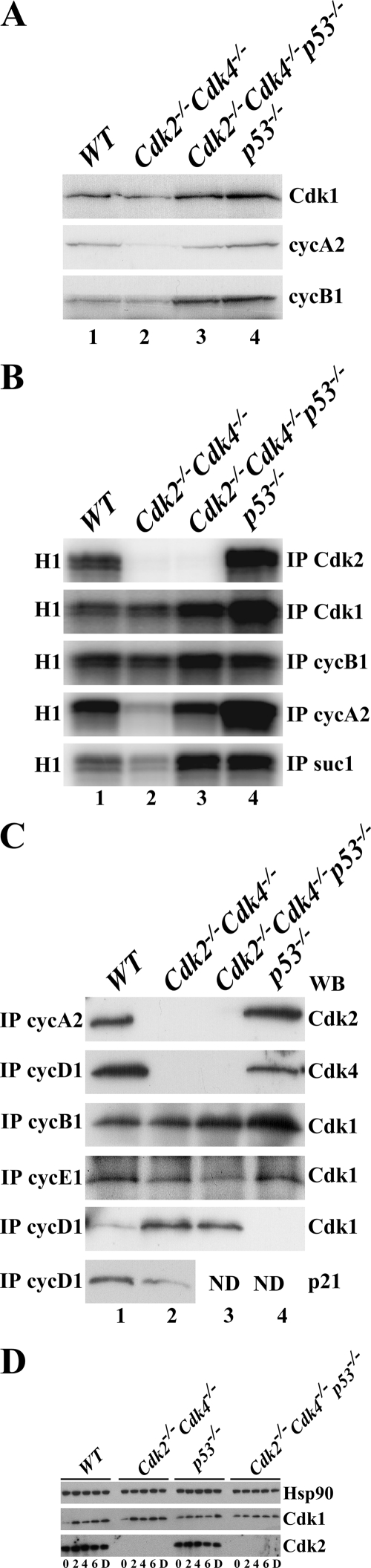 FIG. 7.