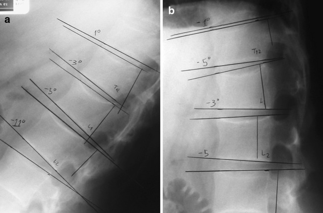 Fig. 7.