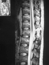 Fig. 5.