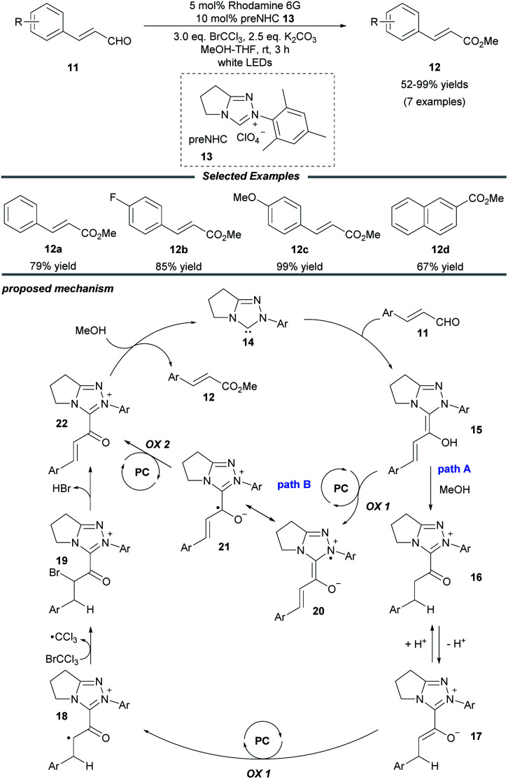 Scheme 2