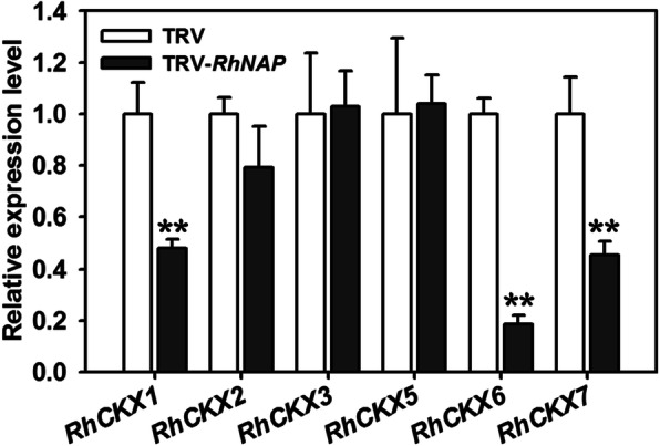 Fig. 4