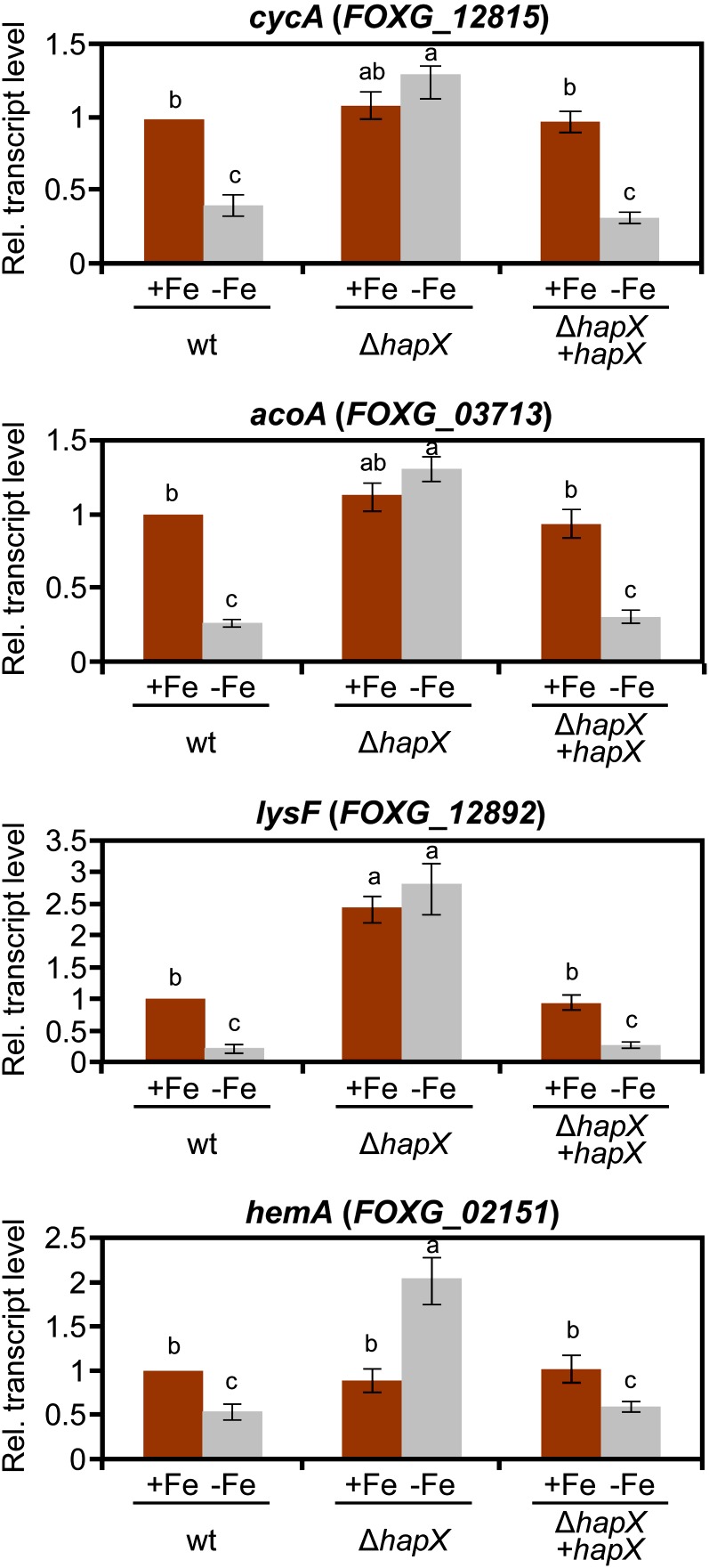 Figure 5.