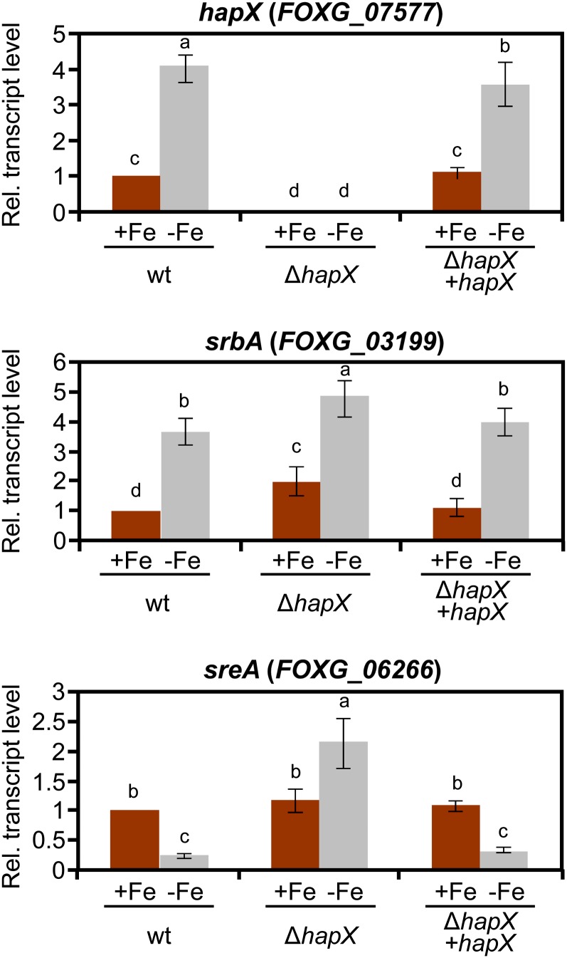 Figure 2.