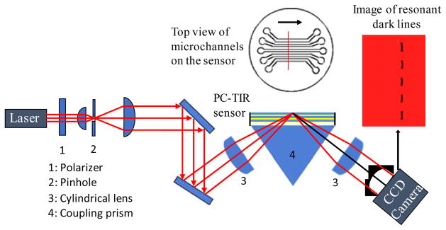 Fig. 2