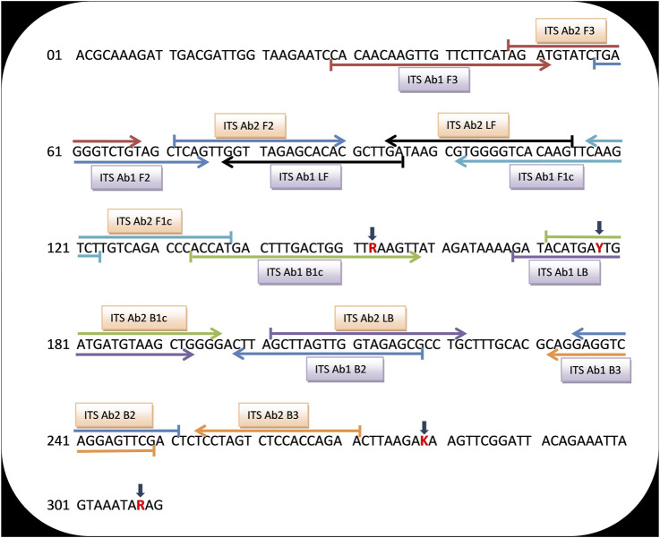 FIGURE 3