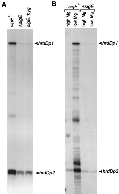 FIG. 7